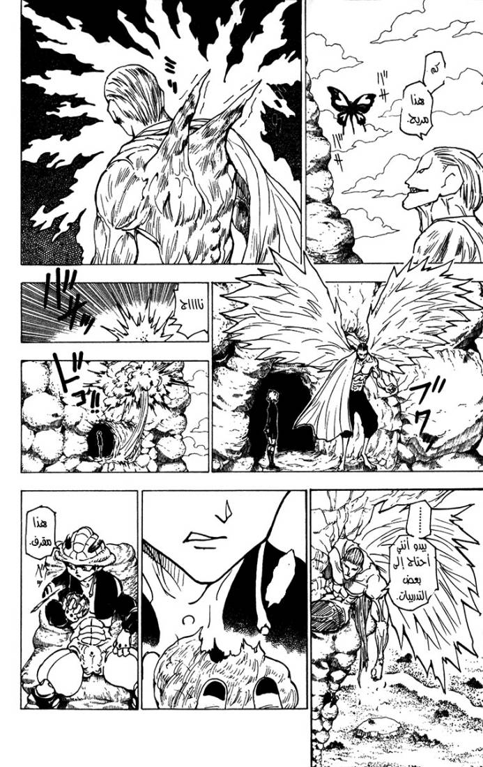 Hunter x Hunter: Chapter 213 - Page 12