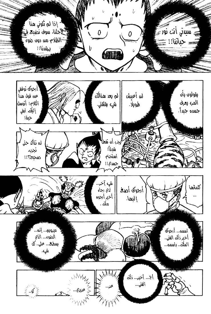 Hunter x Hunter: Chapter 215 - Page 10