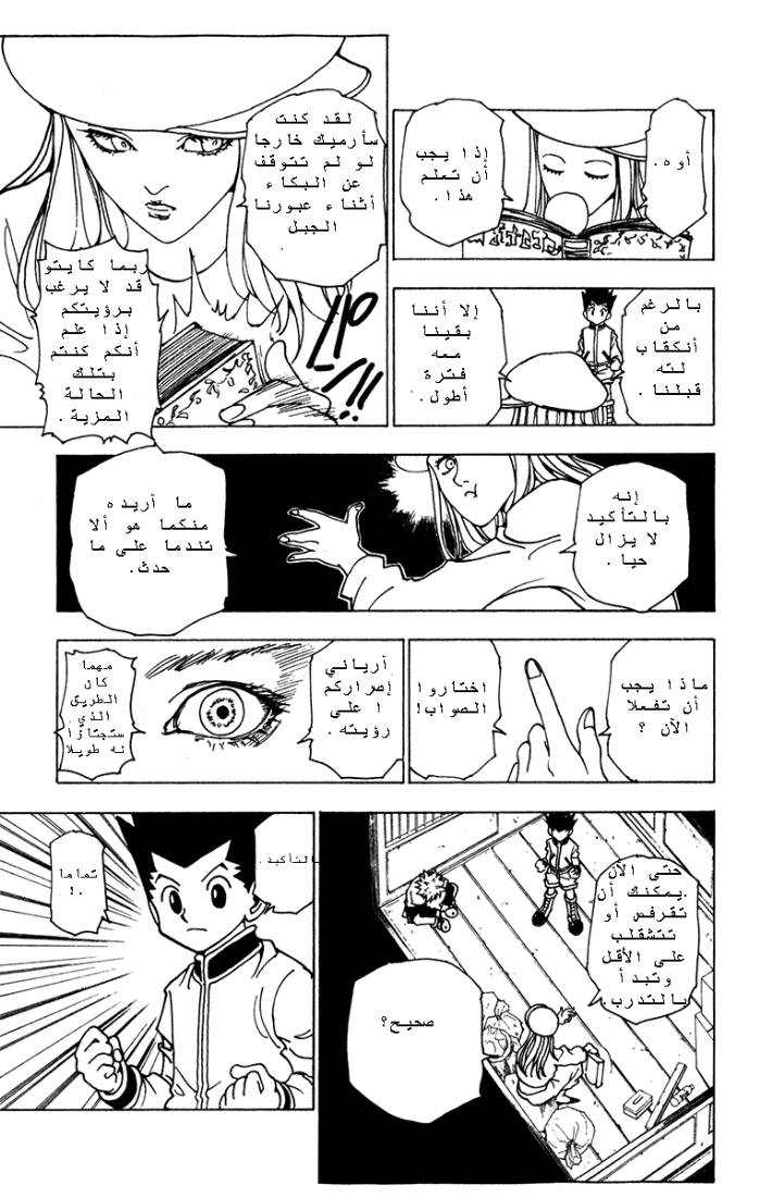 Hunter x Hunter: Chapter 216 - Page 3