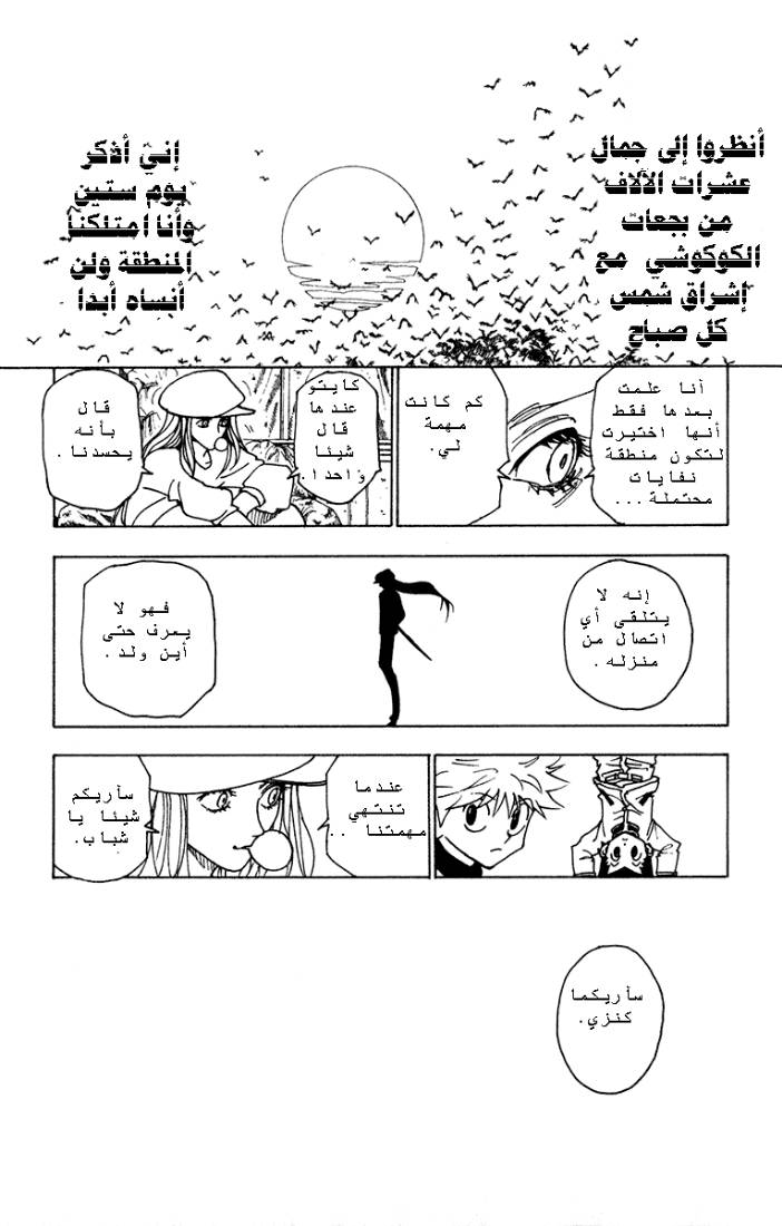Hunter x Hunter: Chapter 216 - Page 5