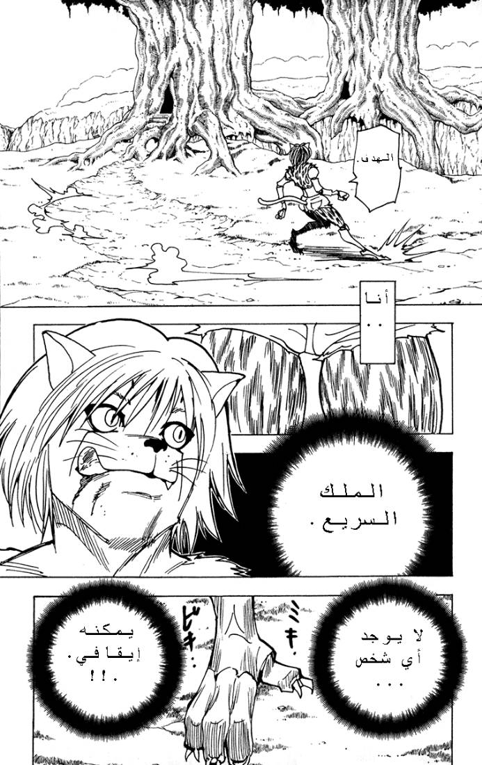 Hunter x Hunter: Chapter 216 - Page 7