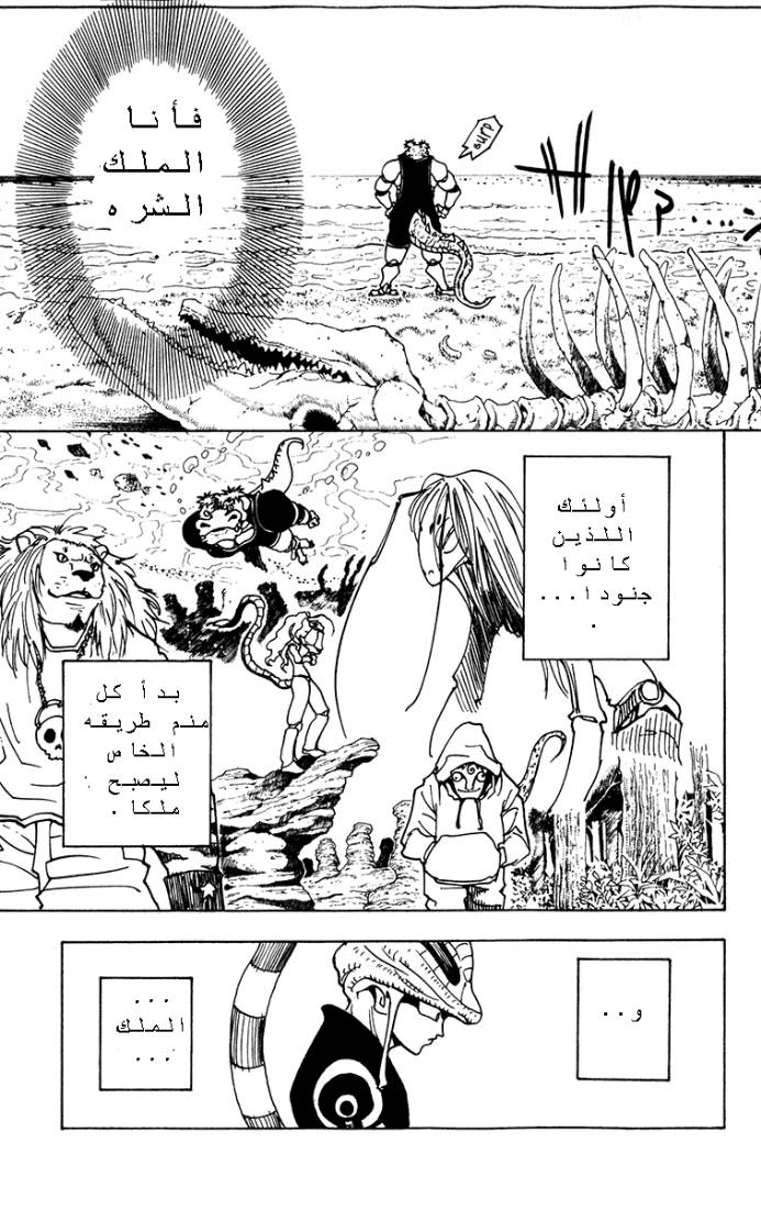 Hunter x Hunter: Chapter 216 - Page 9