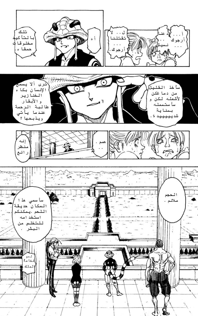 Hunter x Hunter: Chapter 217 - Page 5