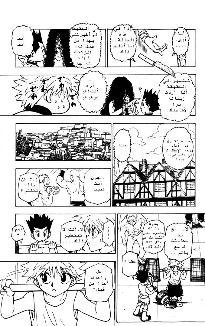 Hunter x Hunter: Chapter 217 - Page 11