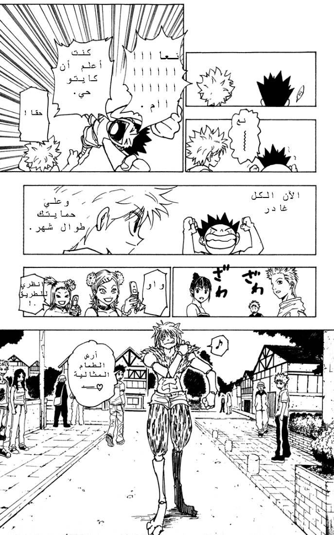 Hunter x Hunter: Chapter 217 - Page 15
