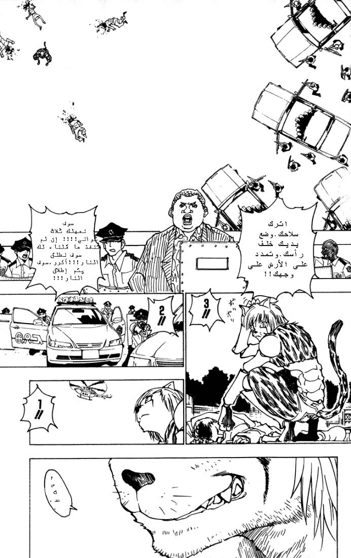 Hunter x Hunter: Chapter 218 - Page 3