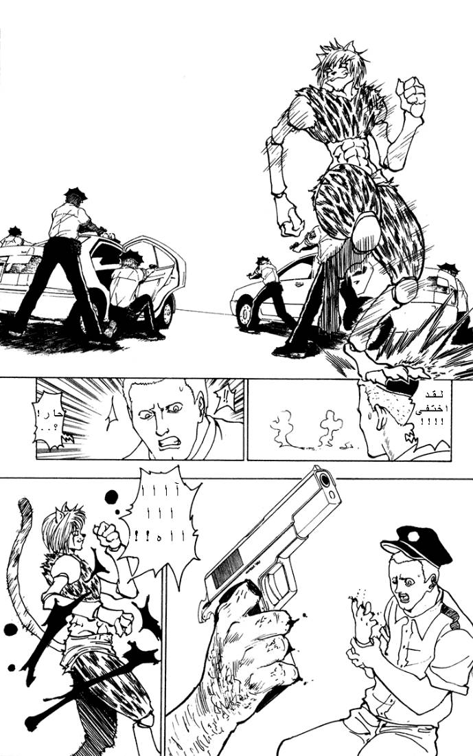Hunter x Hunter: Chapter 218 - Page 5