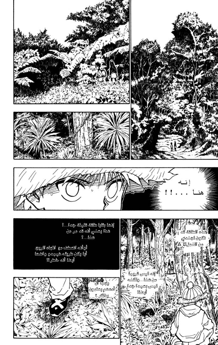 Hunter x Hunter: Chapter 218 - Page 10