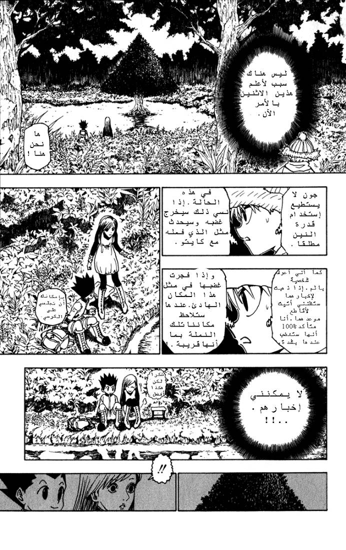 Hunter x Hunter: Chapter 218 - Page 11