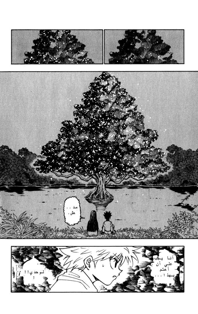 Hunter x Hunter: Chapter 218 - Page 12