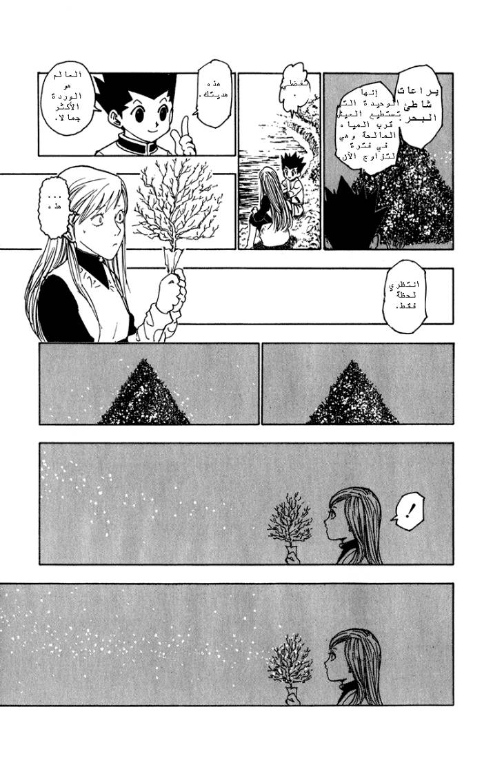 Hunter x Hunter: Chapter 218 - Page 13
