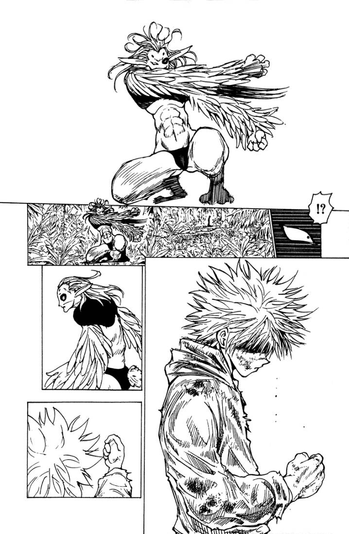 Hunter x Hunter: Chapter 219 - Page 10