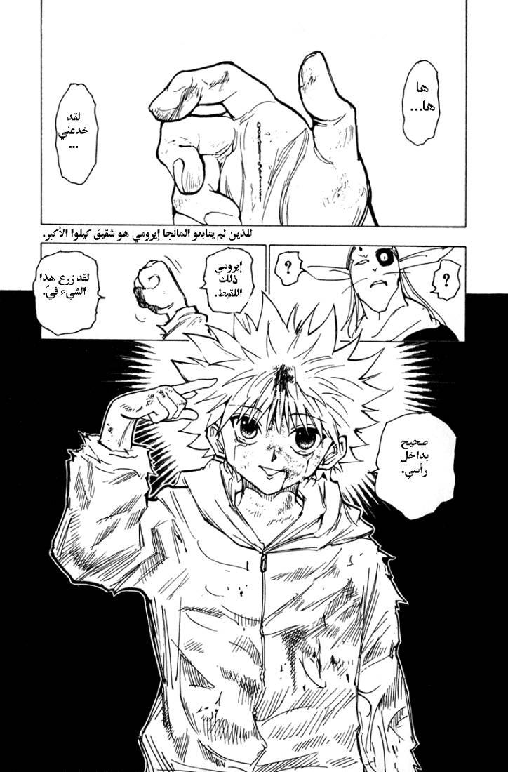 Hunter x Hunter: Chapter 219 - Page 11
