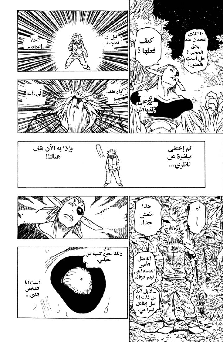 Hunter x Hunter: Chapter 219 - Page 12