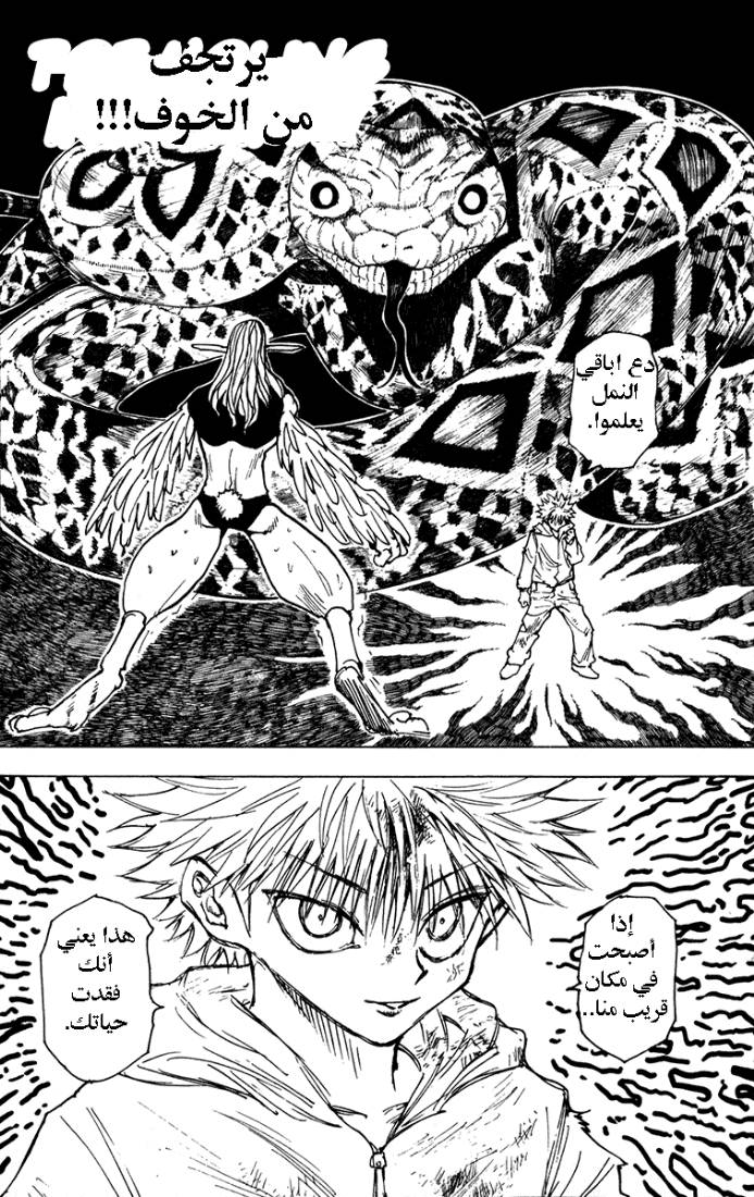 Hunter x Hunter: Chapter 219 - Page 13