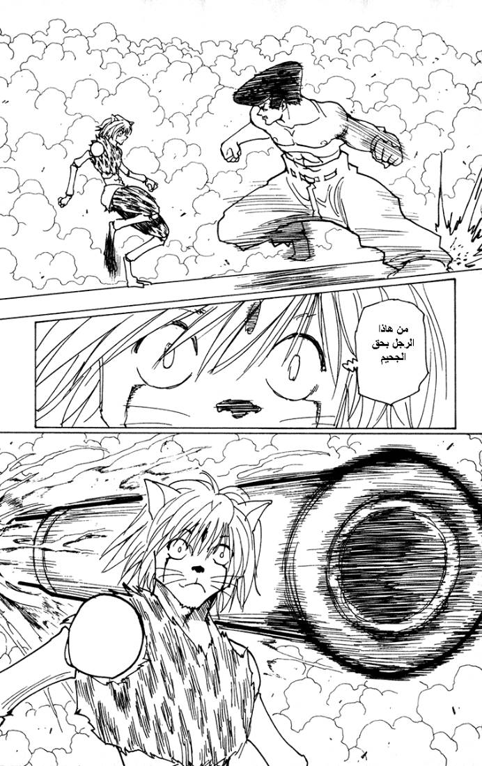 Hunter x Hunter: Chapter 220 - Page 13