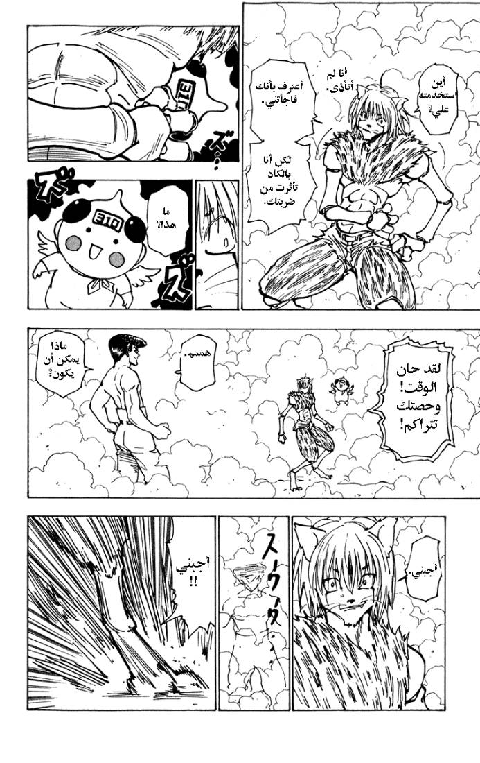 Hunter x Hunter: Chapter 221 - Page 10