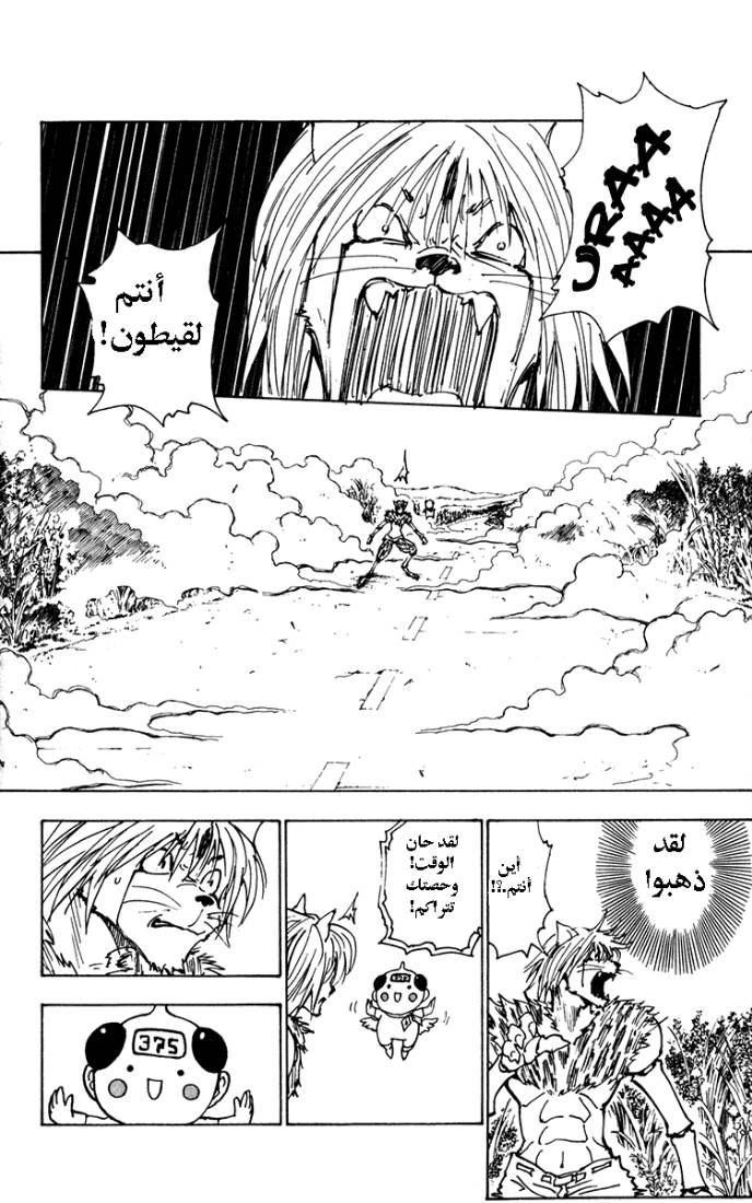Hunter x Hunter: Chapter 221 - Page 12