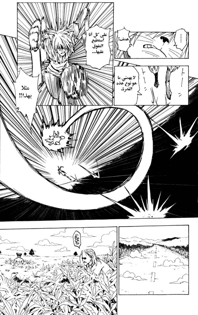 Hunter x Hunter: Chapter 221 - Page 13