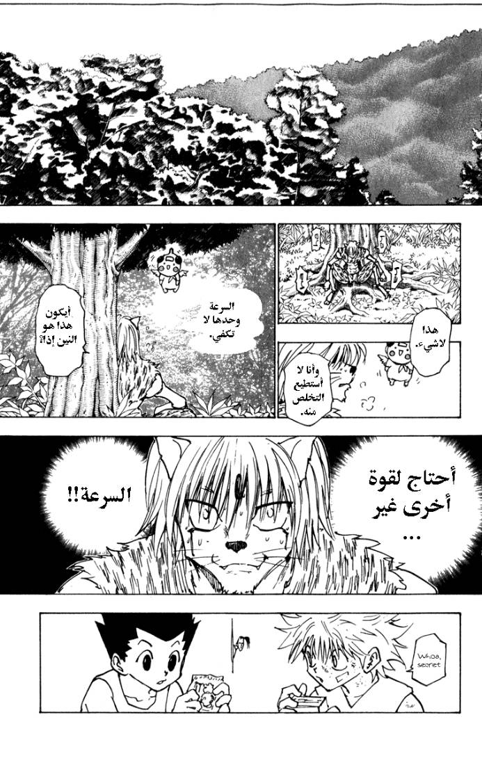 Hunter x Hunter: Chapter 221 - Page 15