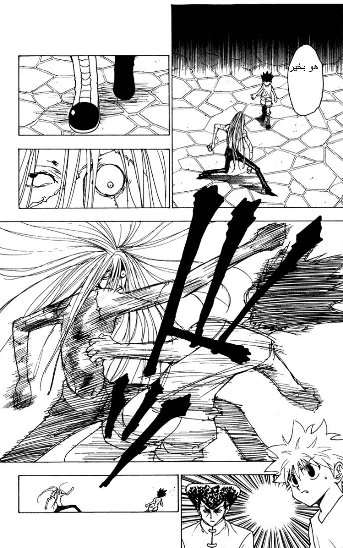 Hunter x Hunter: Chapter 222 - Page 6