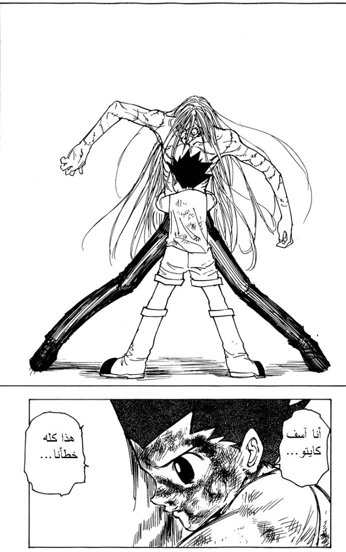 Hunter x Hunter: Chapter 222 - Page 11