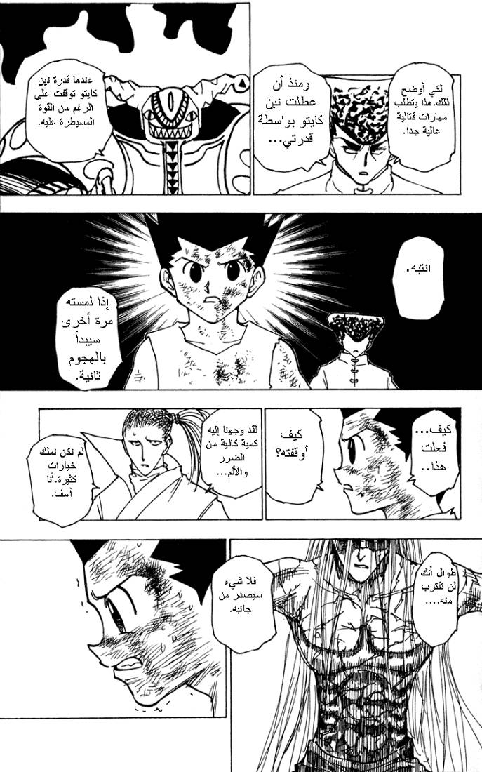 Hunter x Hunter: Chapter 222 - Page 13