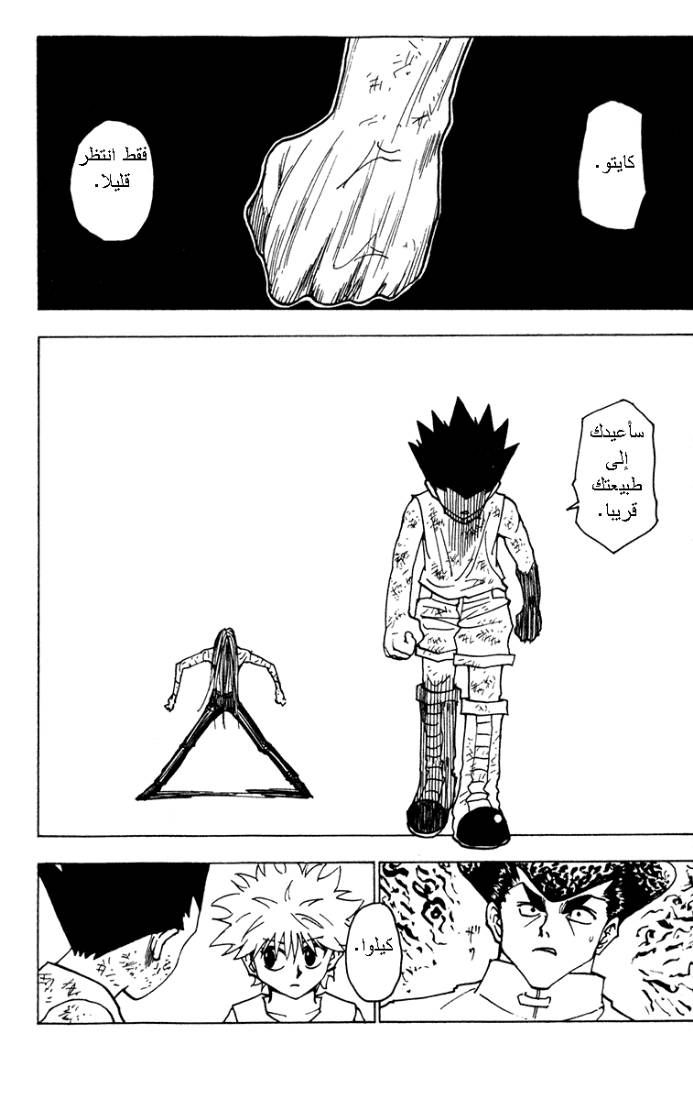Hunter x Hunter: Chapter 222 - Page 14