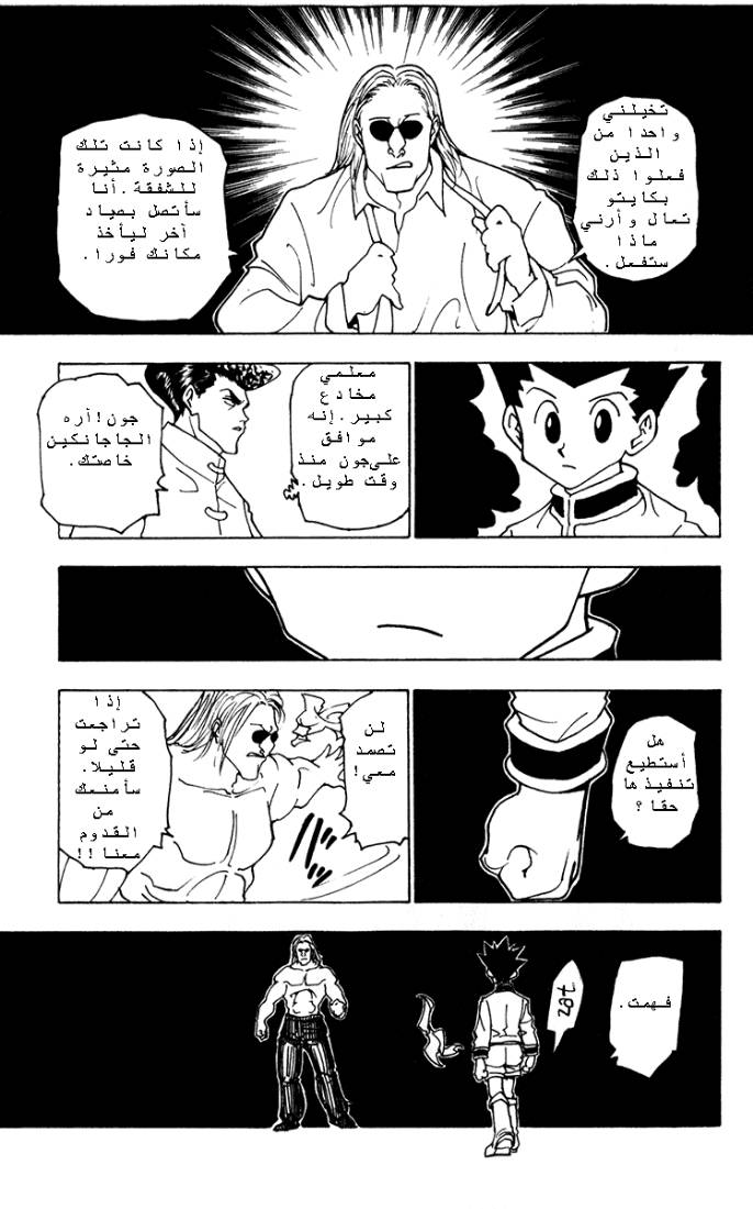 Hunter x Hunter: Chapter 223 - Page 9