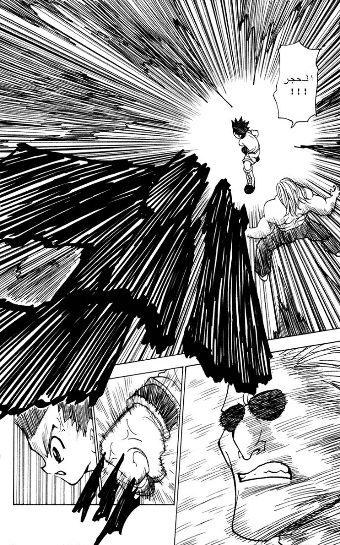 Hunter x Hunter: Chapter 223 - Page 12