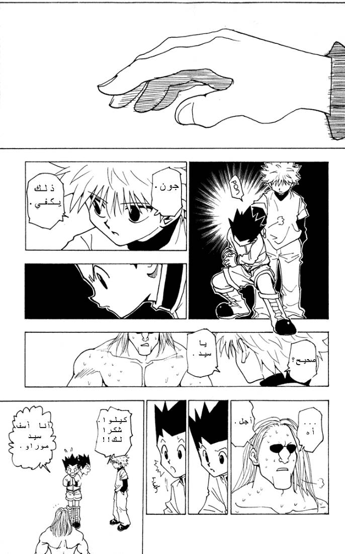 Hunter x Hunter: Chapter 223 - Page 13