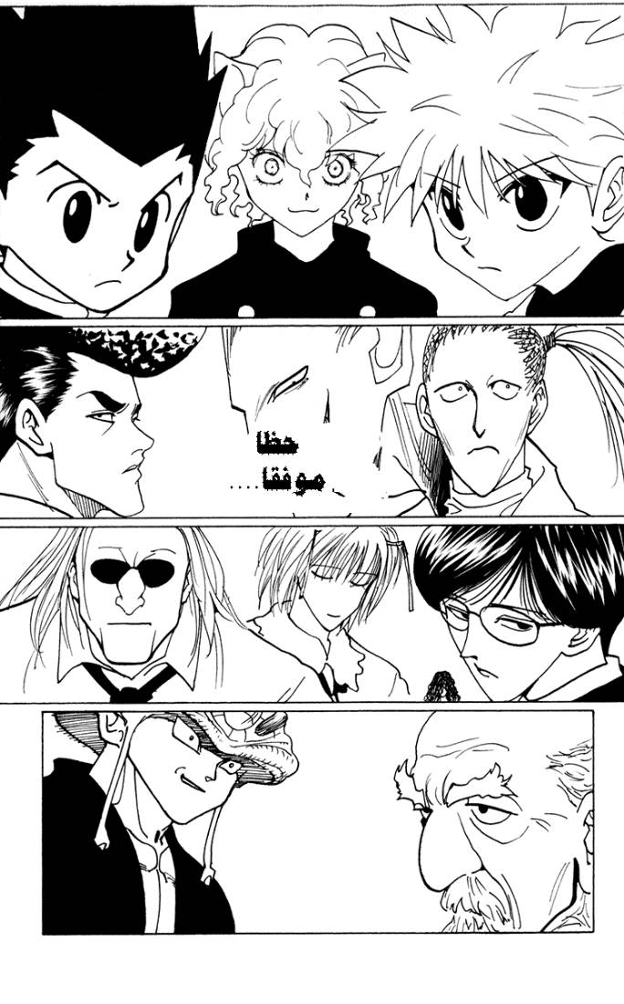 Hunter x Hunter: Chapter 223 - Page 15