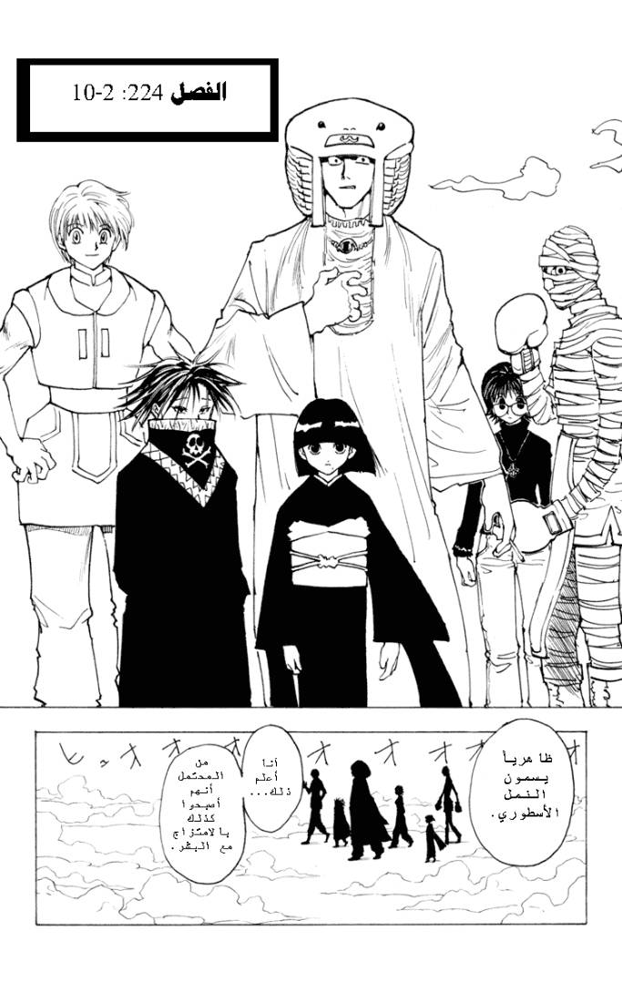 Hunter x Hunter: Chapter 224 - Page 6
