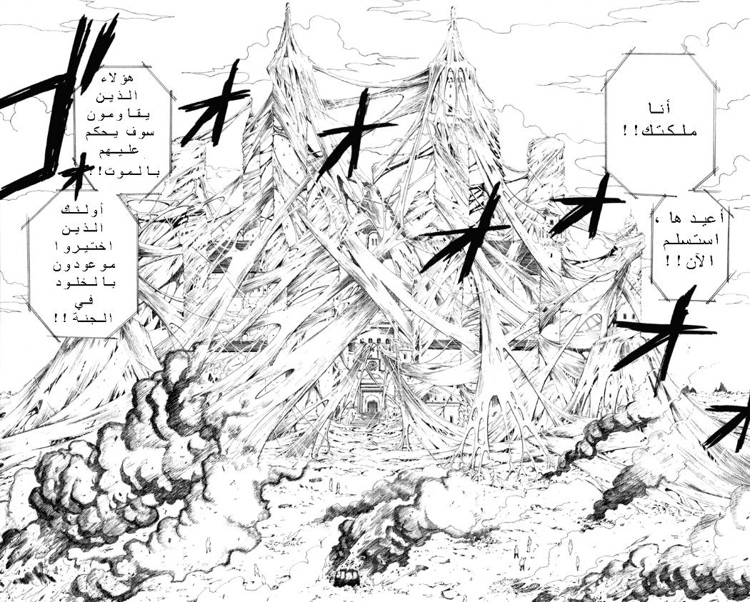 Hunter x Hunter: Chapter 224 - Page 12