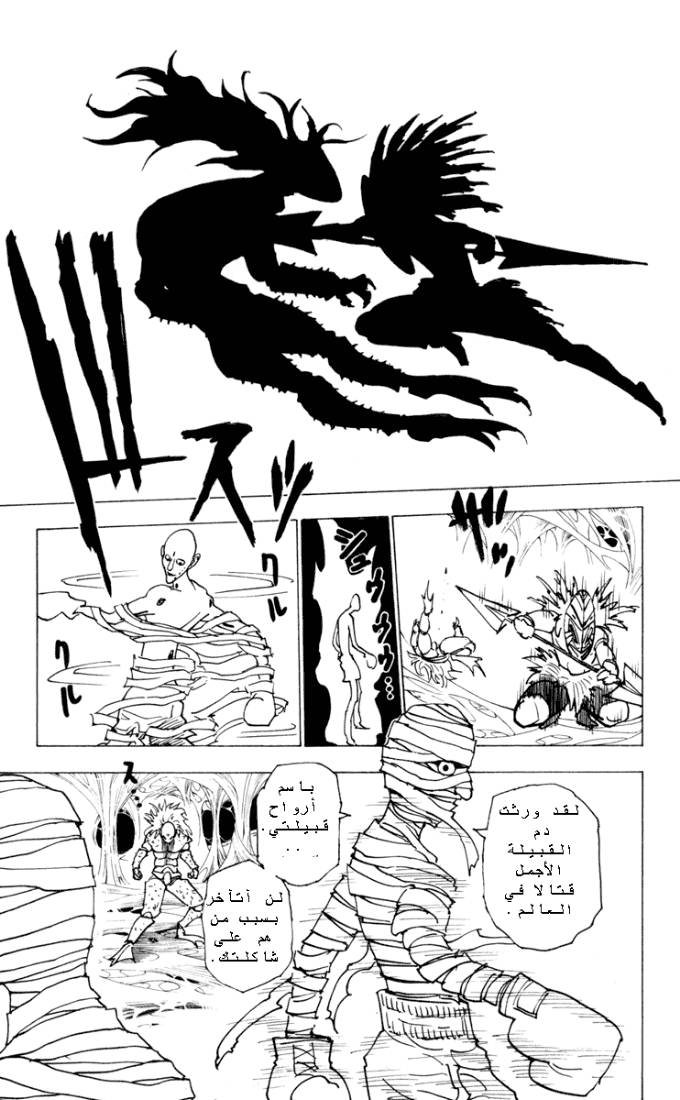 Hunter x Hunter: Chapter 225 - Page 9