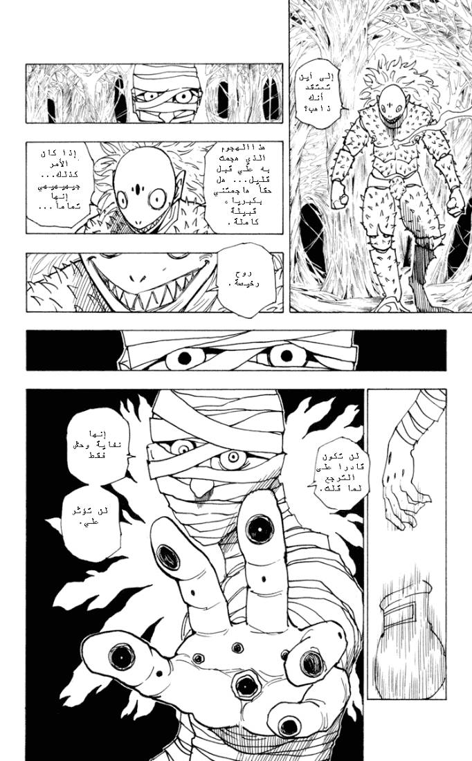Hunter x Hunter: Chapter 225 - Page 10