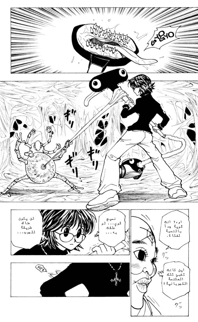 Hunter x Hunter: Chapter 225 - Page 12