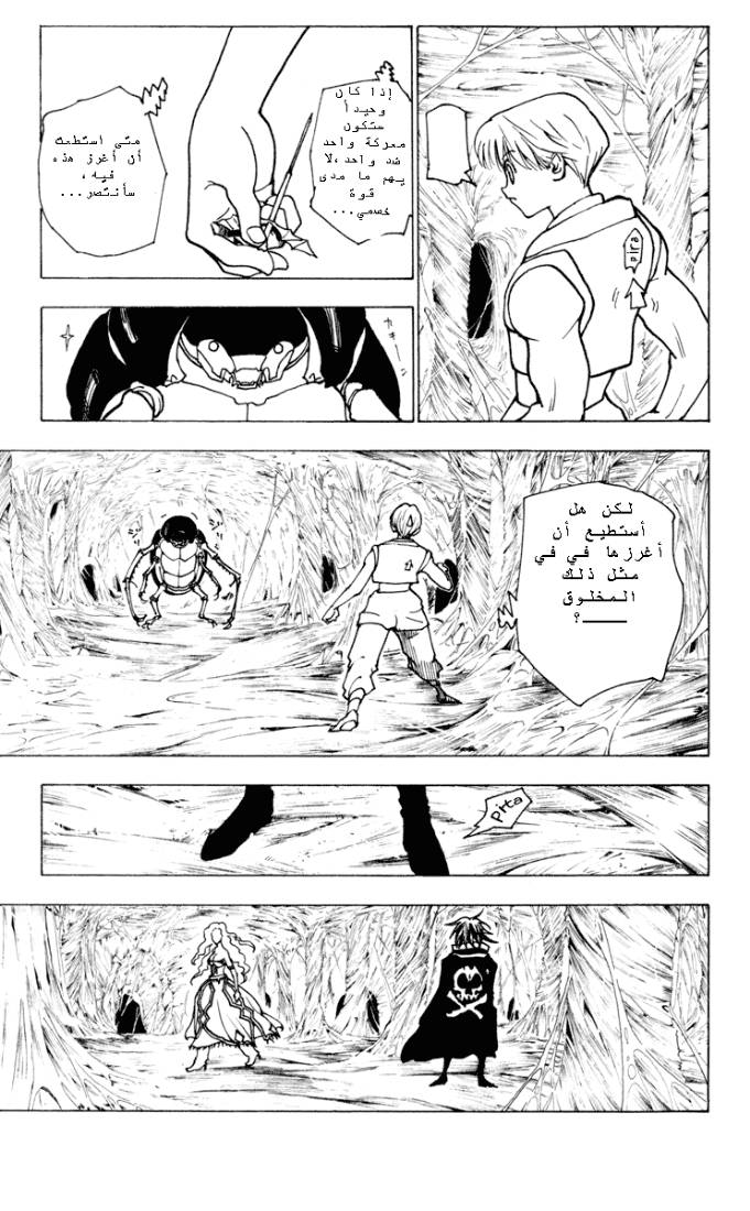 Hunter x Hunter: Chapter 225 - Page 13