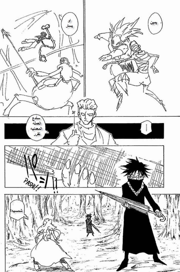 Hunter x Hunter: Chapter 226 - Page 14