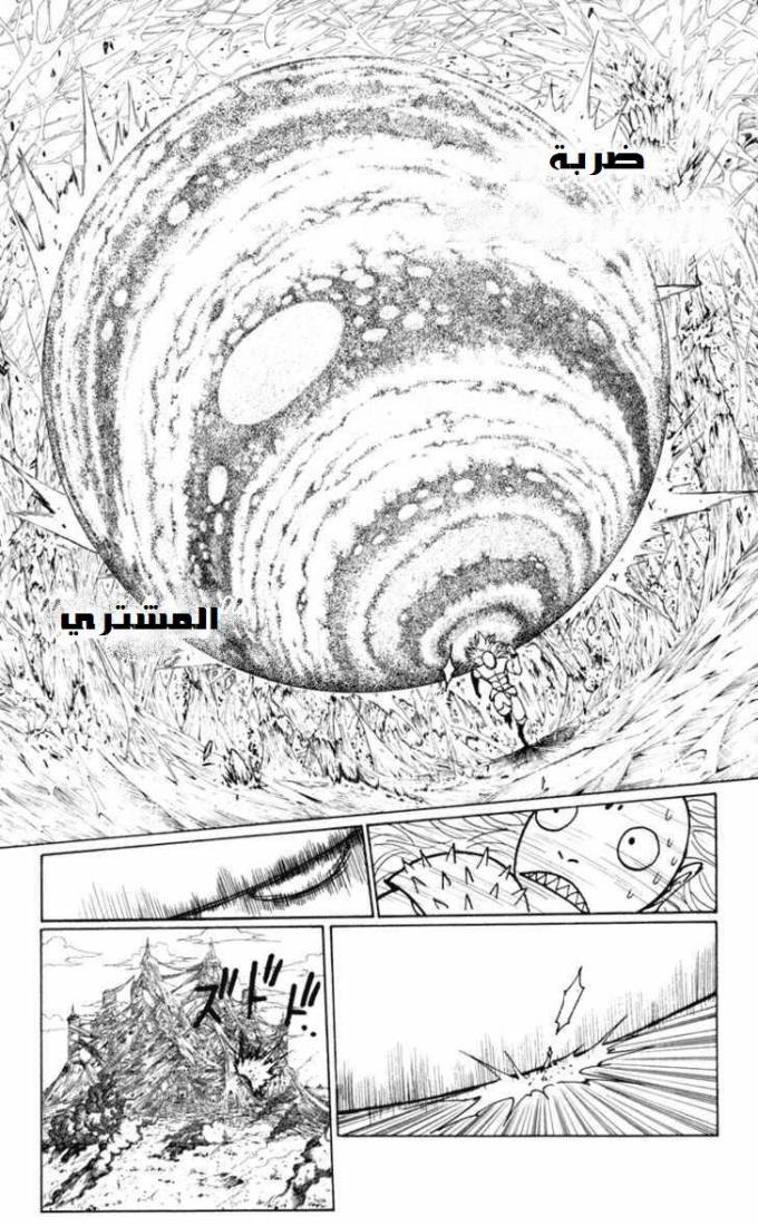 Hunter x Hunter: Chapter 227 - Page 3