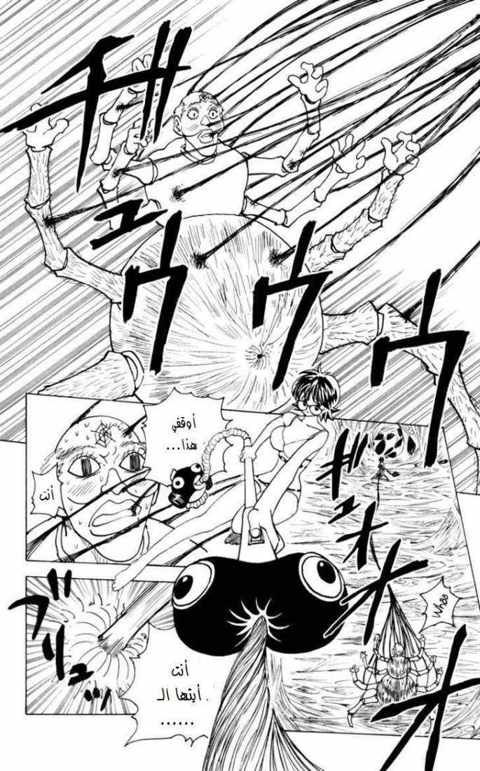 Hunter x Hunter: Chapter 228 - Page 3