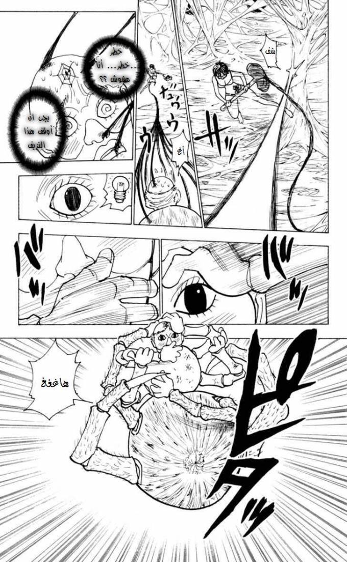 Hunter x Hunter: Chapter 228 - Page 4