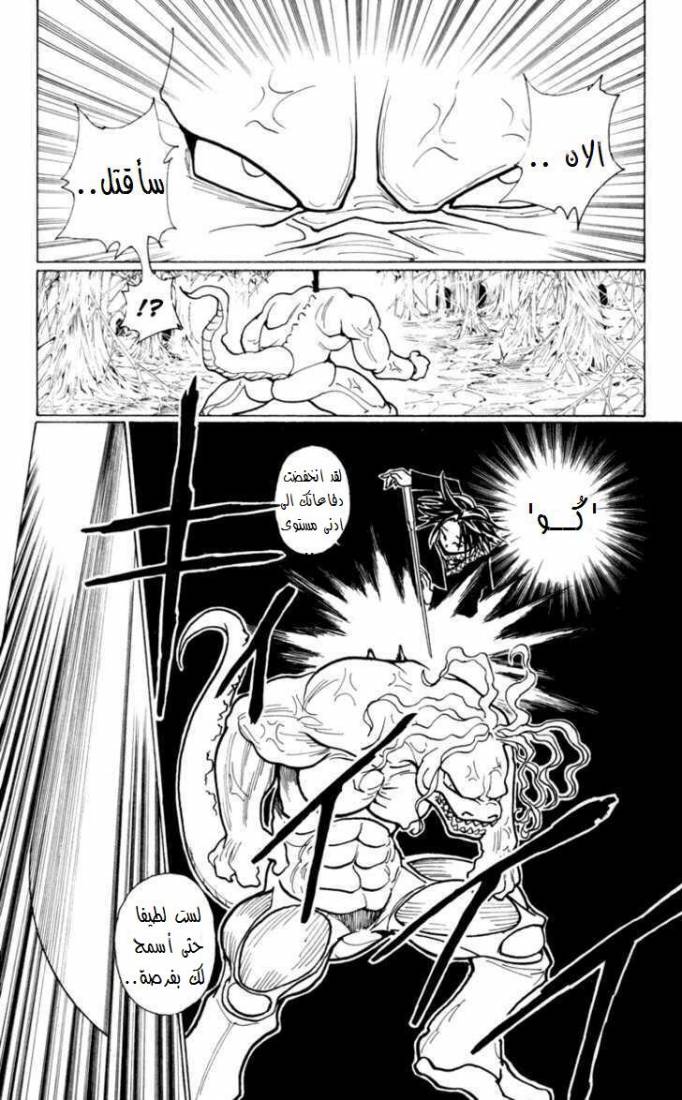 Hunter x Hunter: Chapter 228 - Page 14