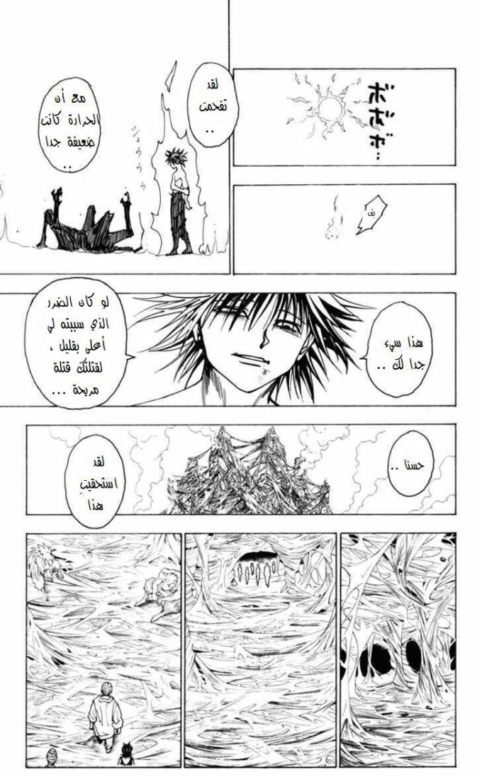Hunter x Hunter: Chapter 229 - Page 10