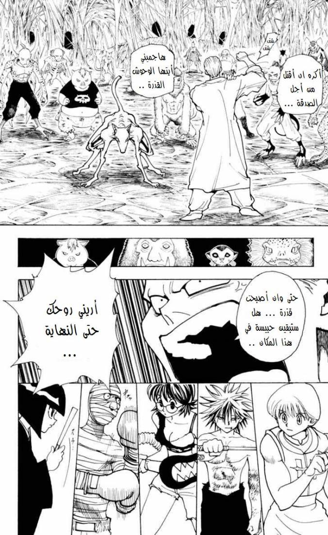 Hunter x Hunter: Chapter 229 - Page 13