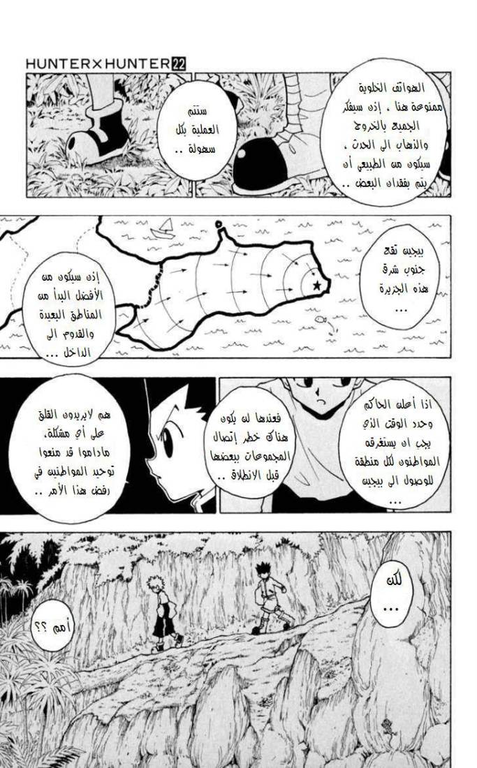 Hunter x Hunter: Chapter 230 - Page 10
