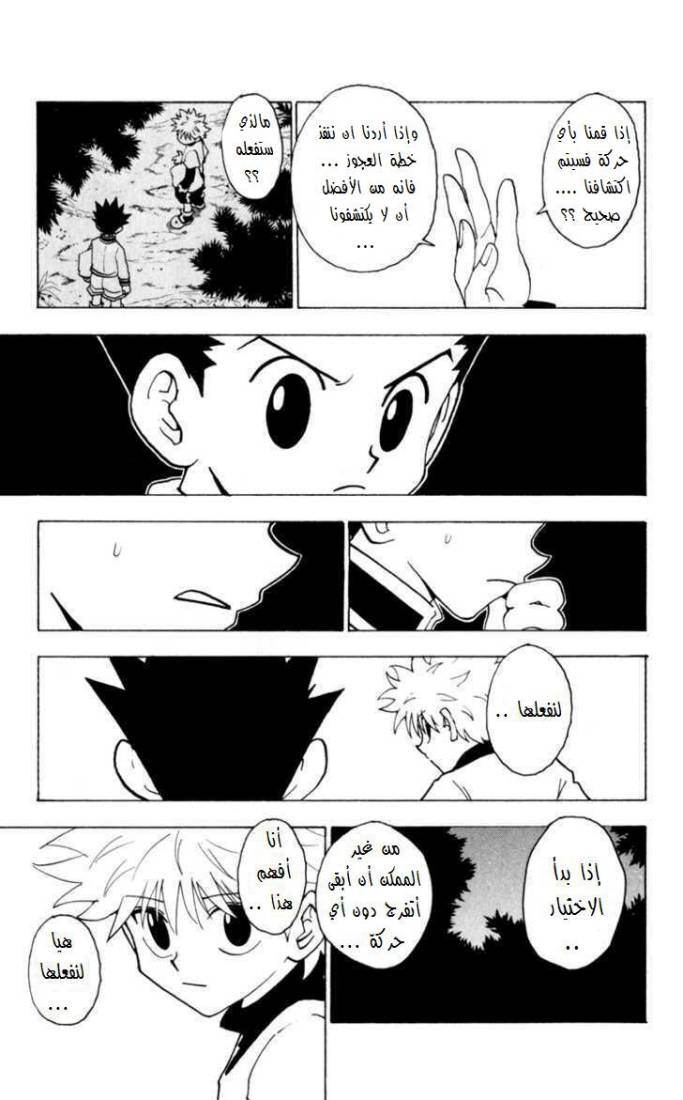 Hunter x Hunter: Chapter 230 - Page 14
