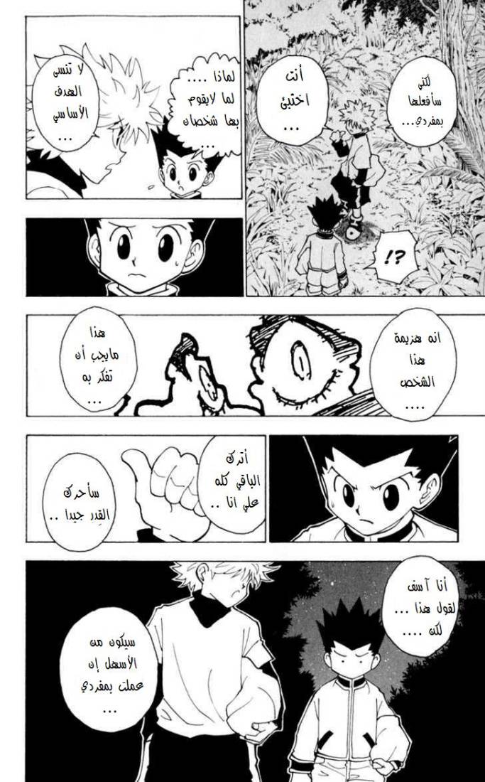 Hunter x Hunter: Chapter 230 - Page 15