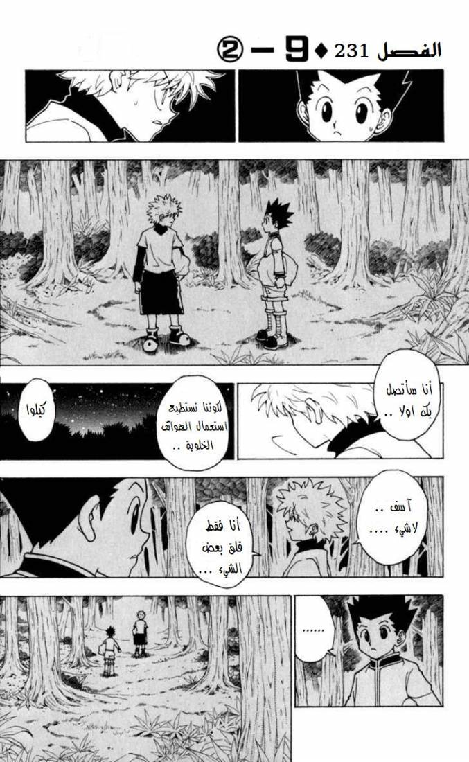 Hunter x Hunter: Chapter 231 - Page 2
