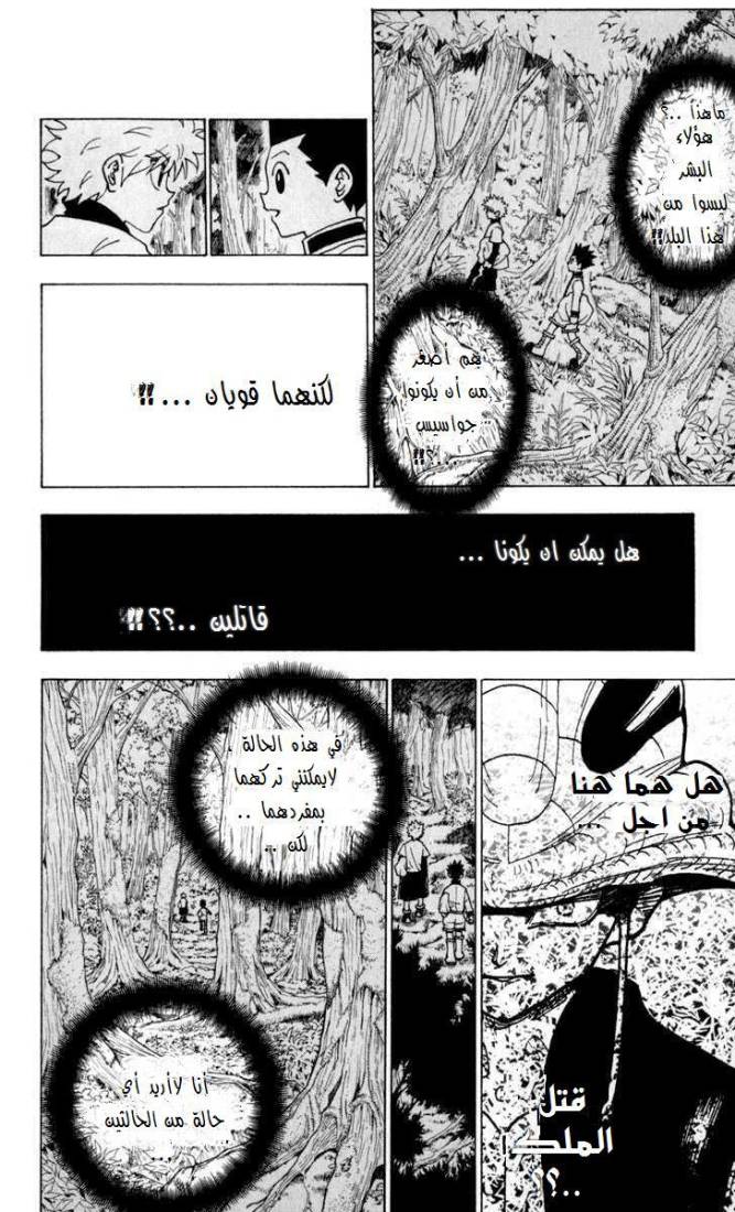 Hunter x Hunter: Chapter 231 - Page 3